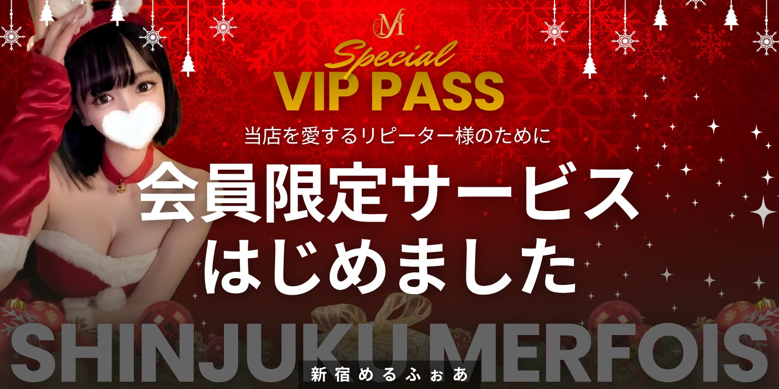 VIPパス_バナーL