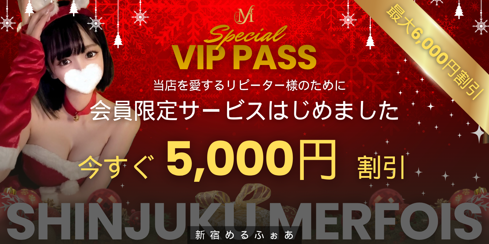 VIP-PASS